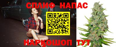 индика Бузулук