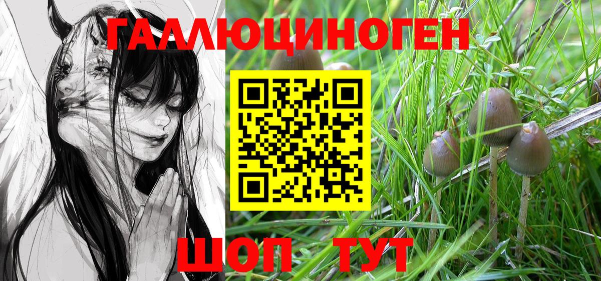 Галлюциногенные грибы Psilocybine cubensis  Вход с VPN  Костомукша 