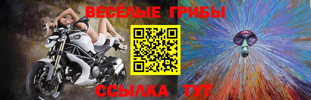 Псилоцибиновые грибы MAGIC MUSHROOMS Костомукша